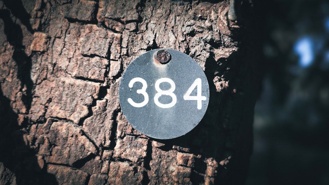 dv188 Slot Dana: Kemudahan Bermain dan Transaksi Aman